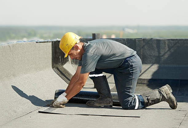 Professional Insulation Contractor in Pemberville, OH