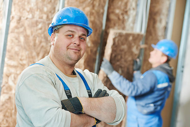 Best Geographic-Specific Insulation Services in Pemberville, OH